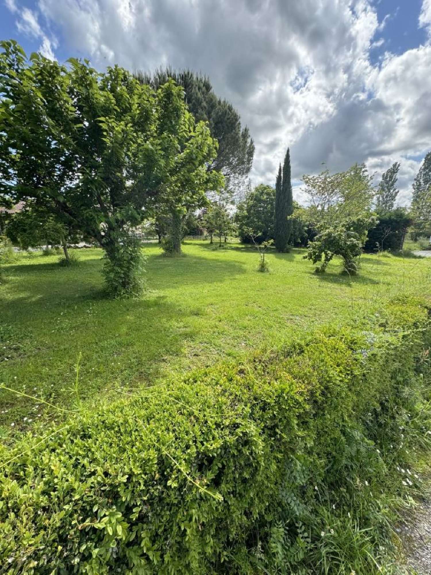 te koop terrein Dénat Tarn 5