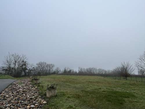 Dieulivol Gironde Grundstück Bild 7207310