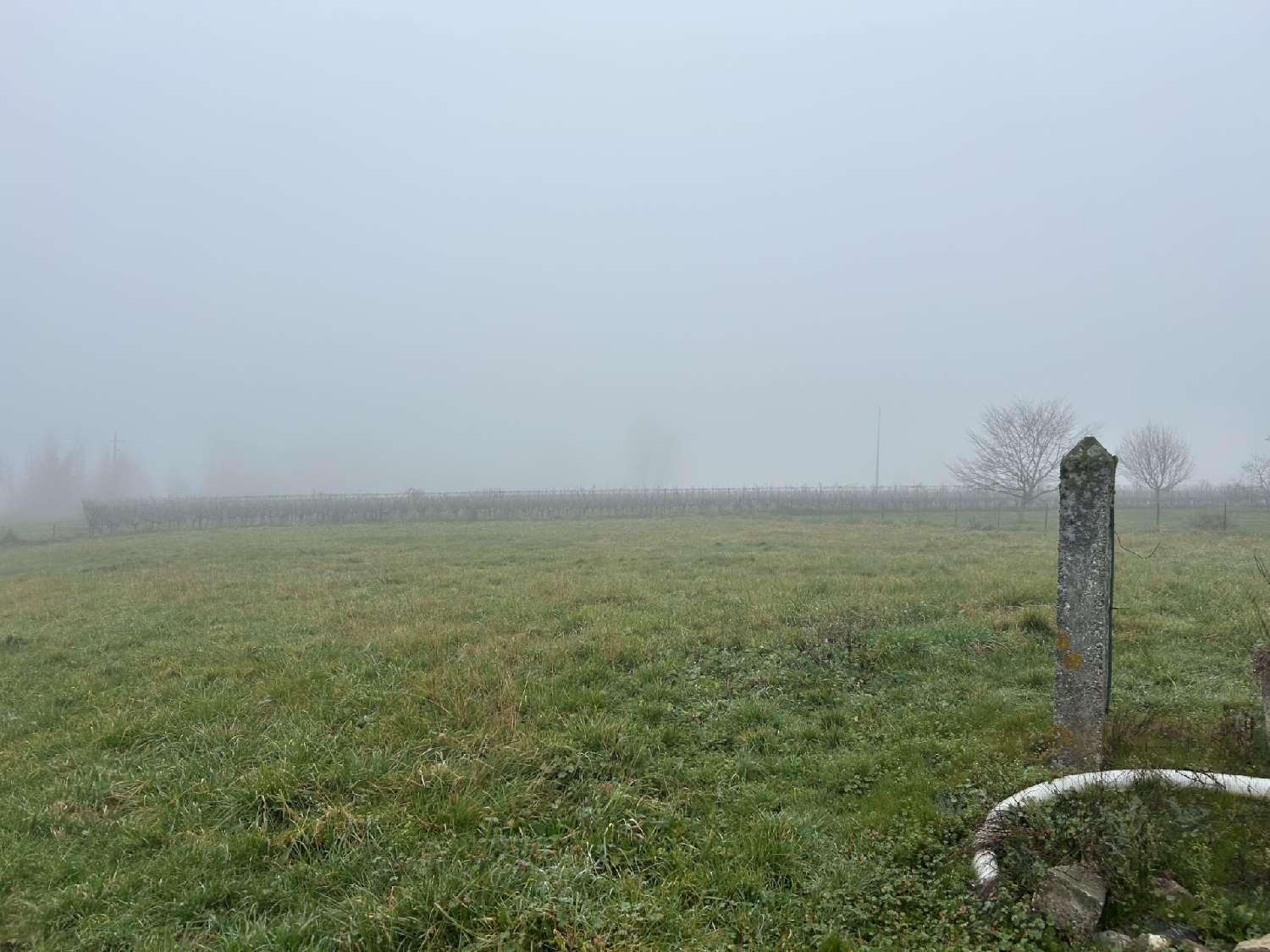  kaufen Grundstück Dieulivol Gironde 2