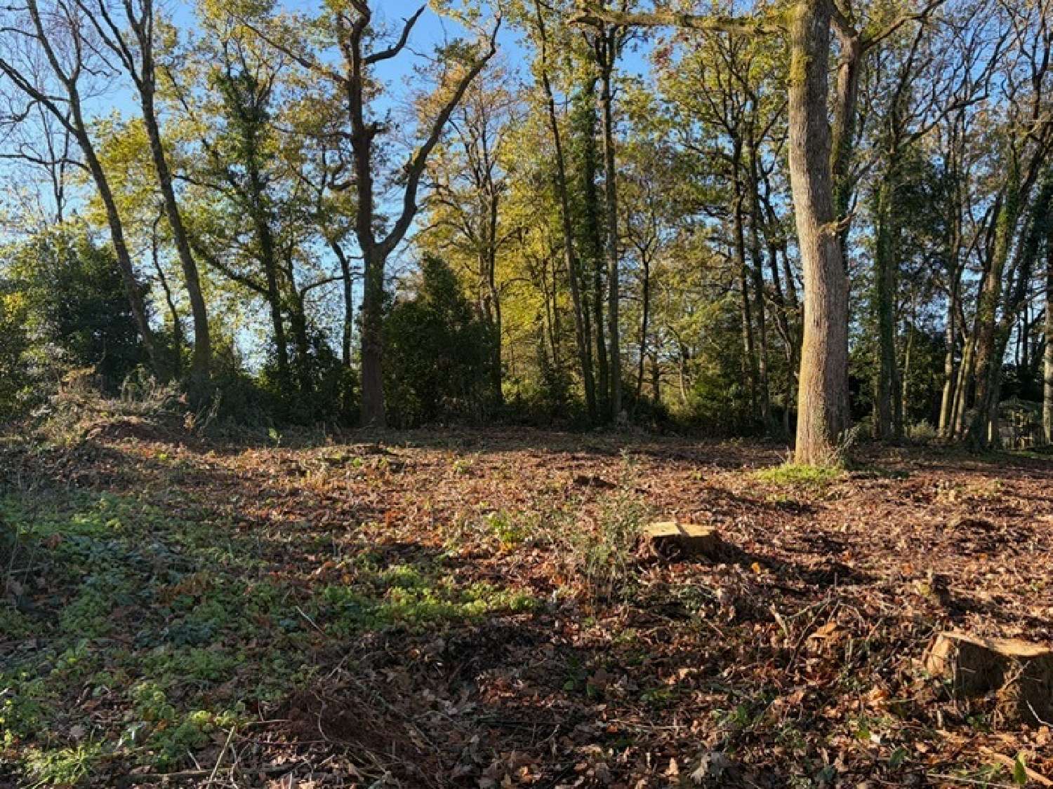  te koop terrein Dissais Vendée 2