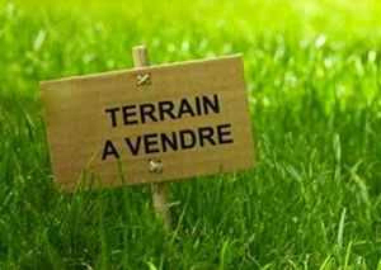 à vendre terrain Égreville Seine-et-Marne 1