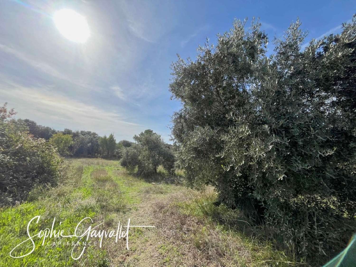 te koop terrein Éguilles Bouches-du-Rhône 3