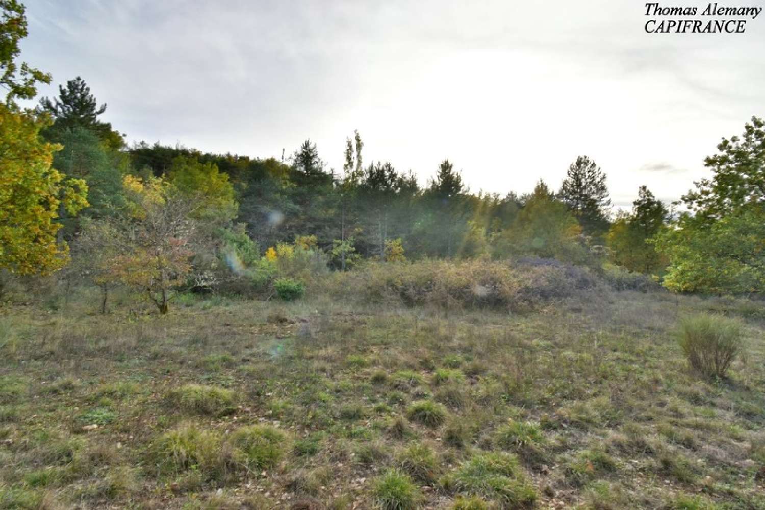 à vendre terrain Estoublon Alpes-de-Haute-Provence 4