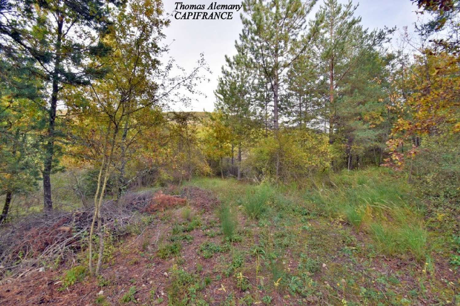 à vendre terrain Estoublon Alpes-de-Haute-Provence 5