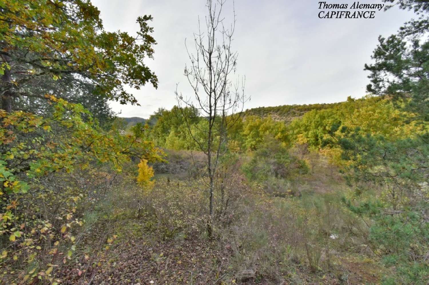 à vendre terrain Estoublon Alpes-de-Haute-Provence 6