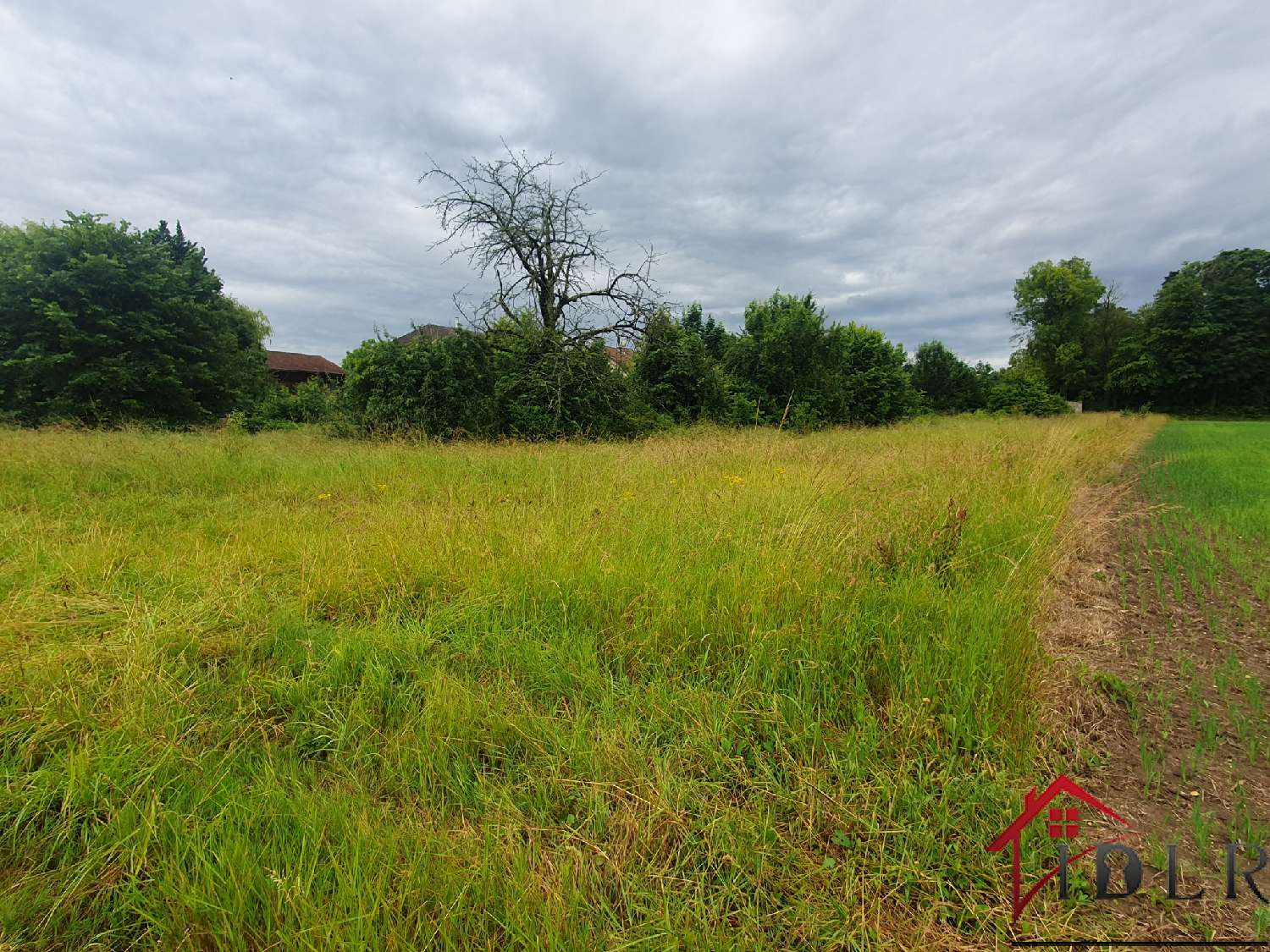 te koop terrein Favresse Marne 4