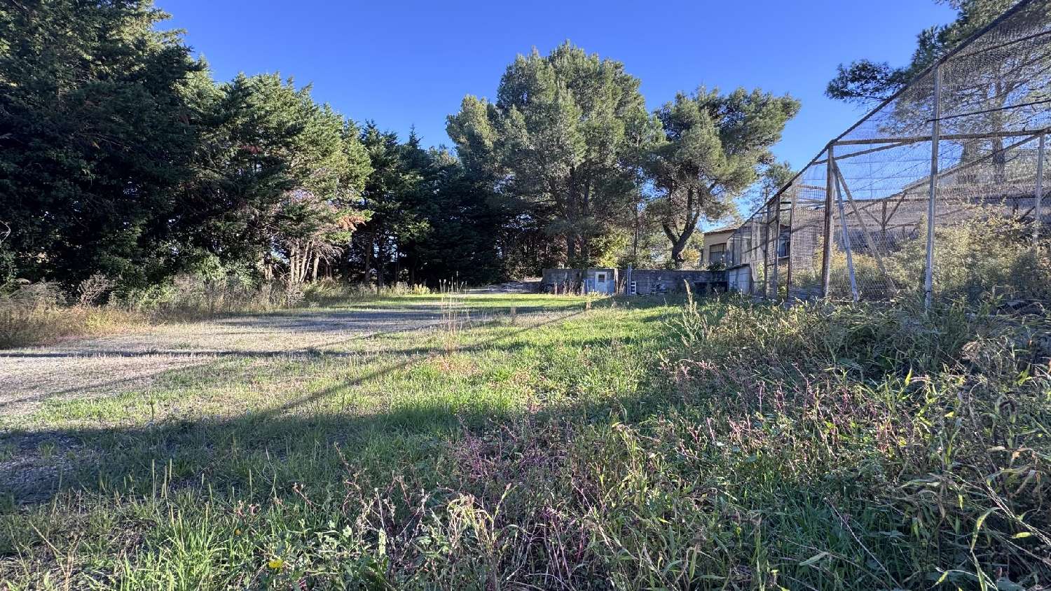 for sale terrain Fontès Hérault 5