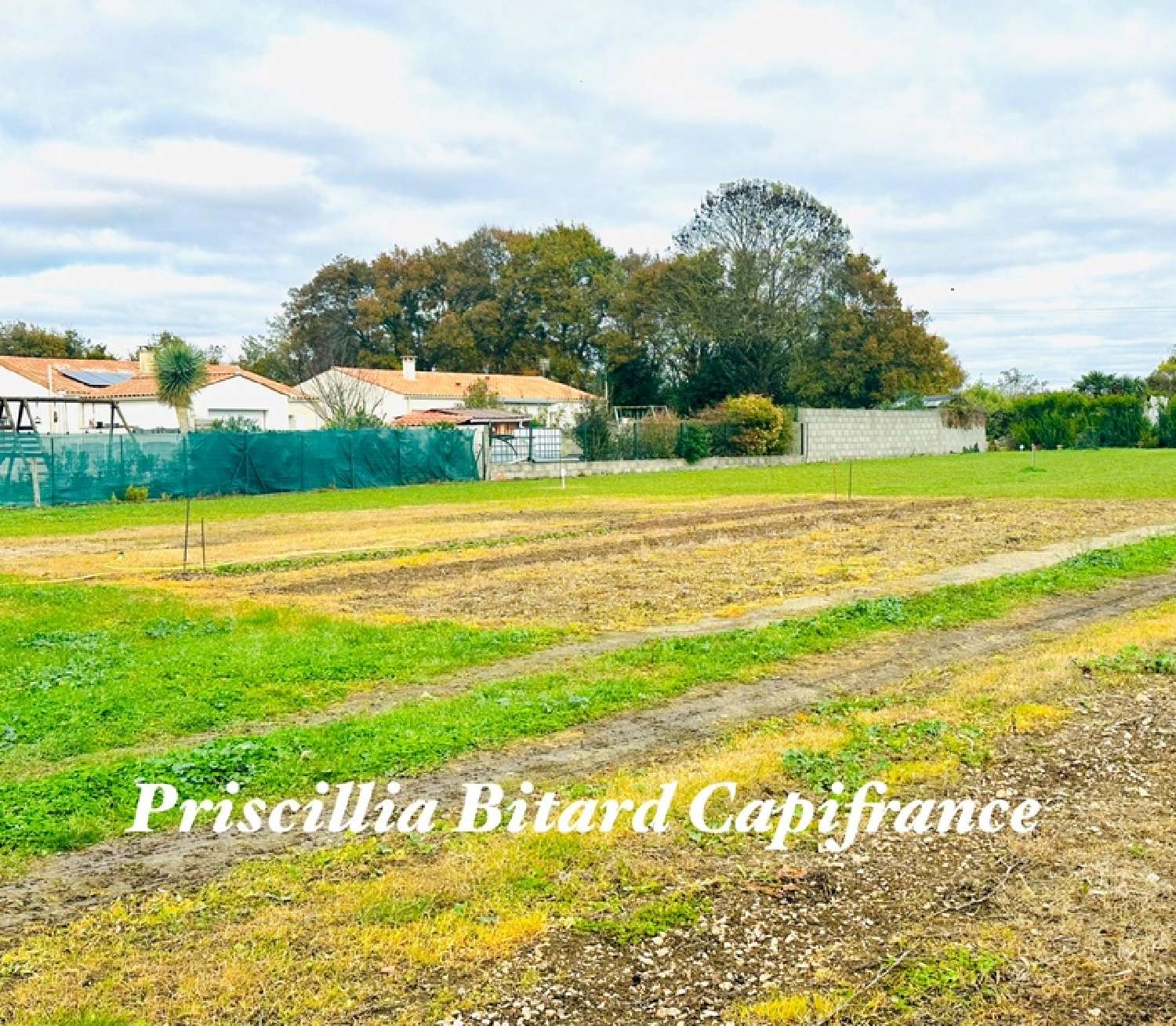 for sale terrain Forges Charente-Maritime 1