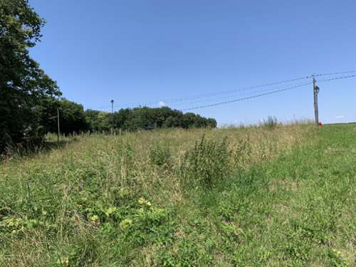 Grange-le-Bocage Yonne terrein foto 7187985