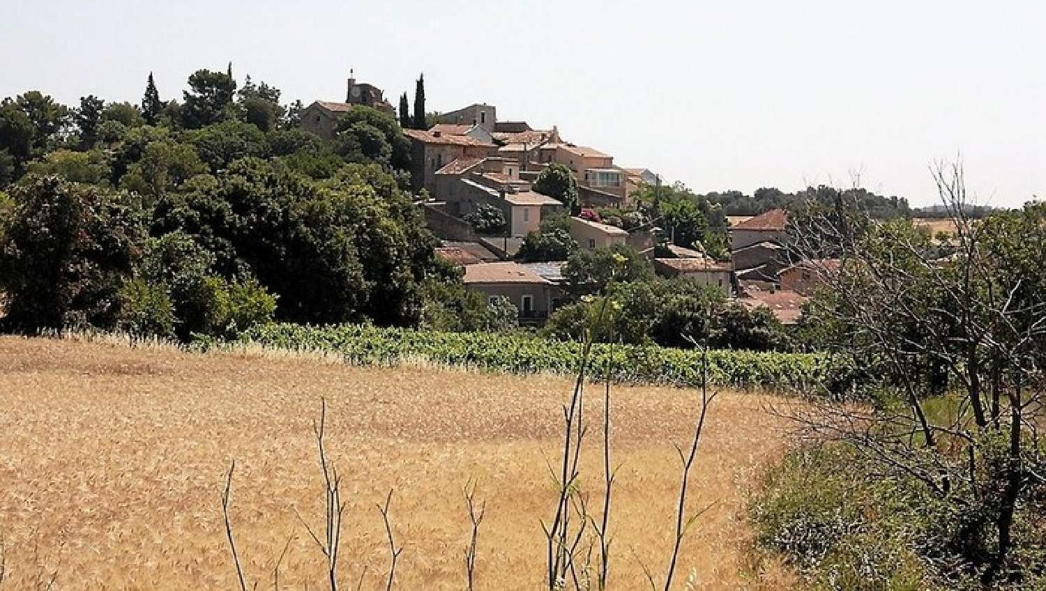  à vendre terrain Fouzilhon Hérault 8