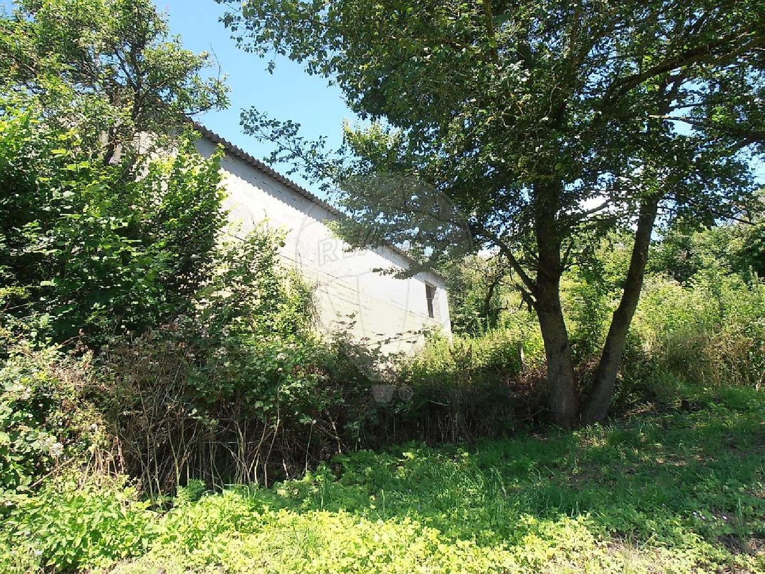 te koop terrein Freistroff Moselle 5