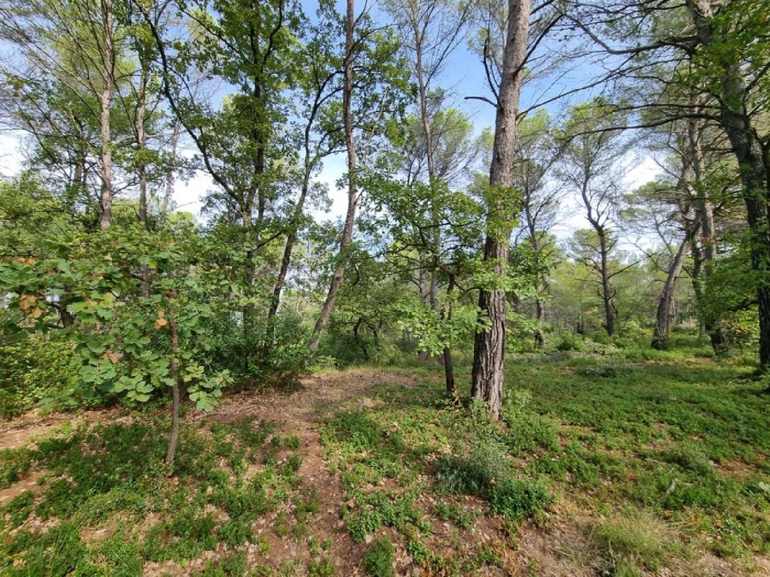 te koop terrein Fuveau Bouches-du-Rhône 1
