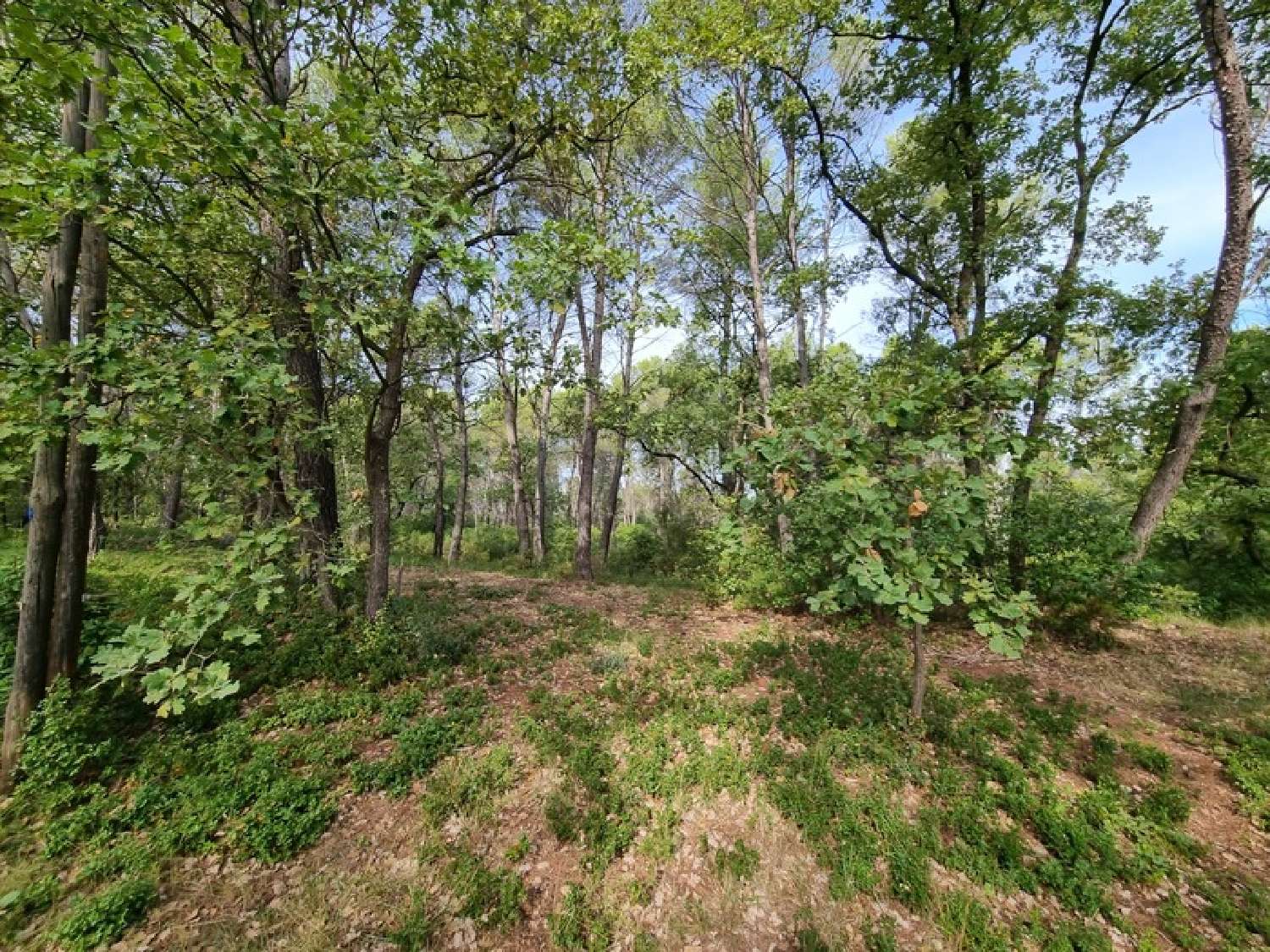 te koop terrein Fuveau Bouches-du-Rhône 2