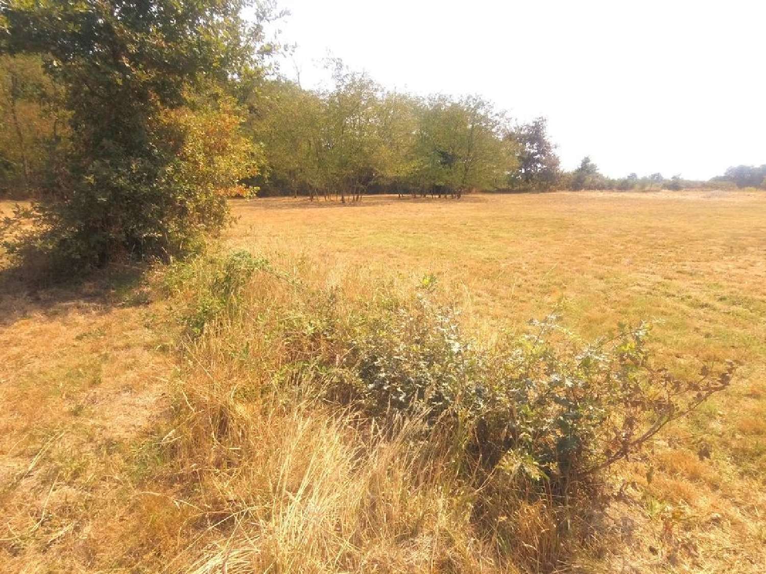  for sale terrain Grignols Gironde 1