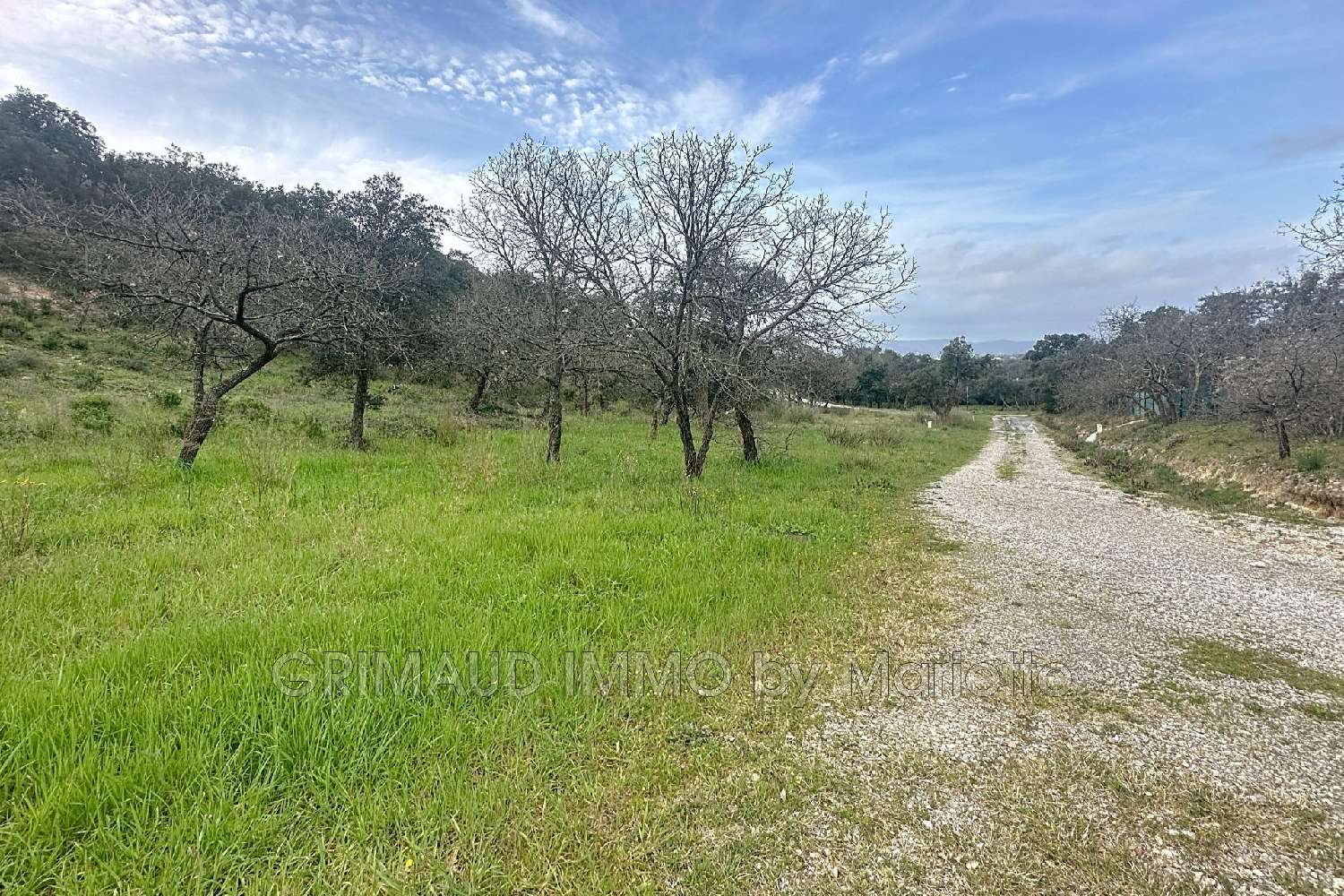 à vendre terrain Grimaud Var 1