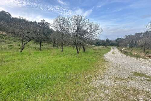 Grimaud Var terrain foto 7173369