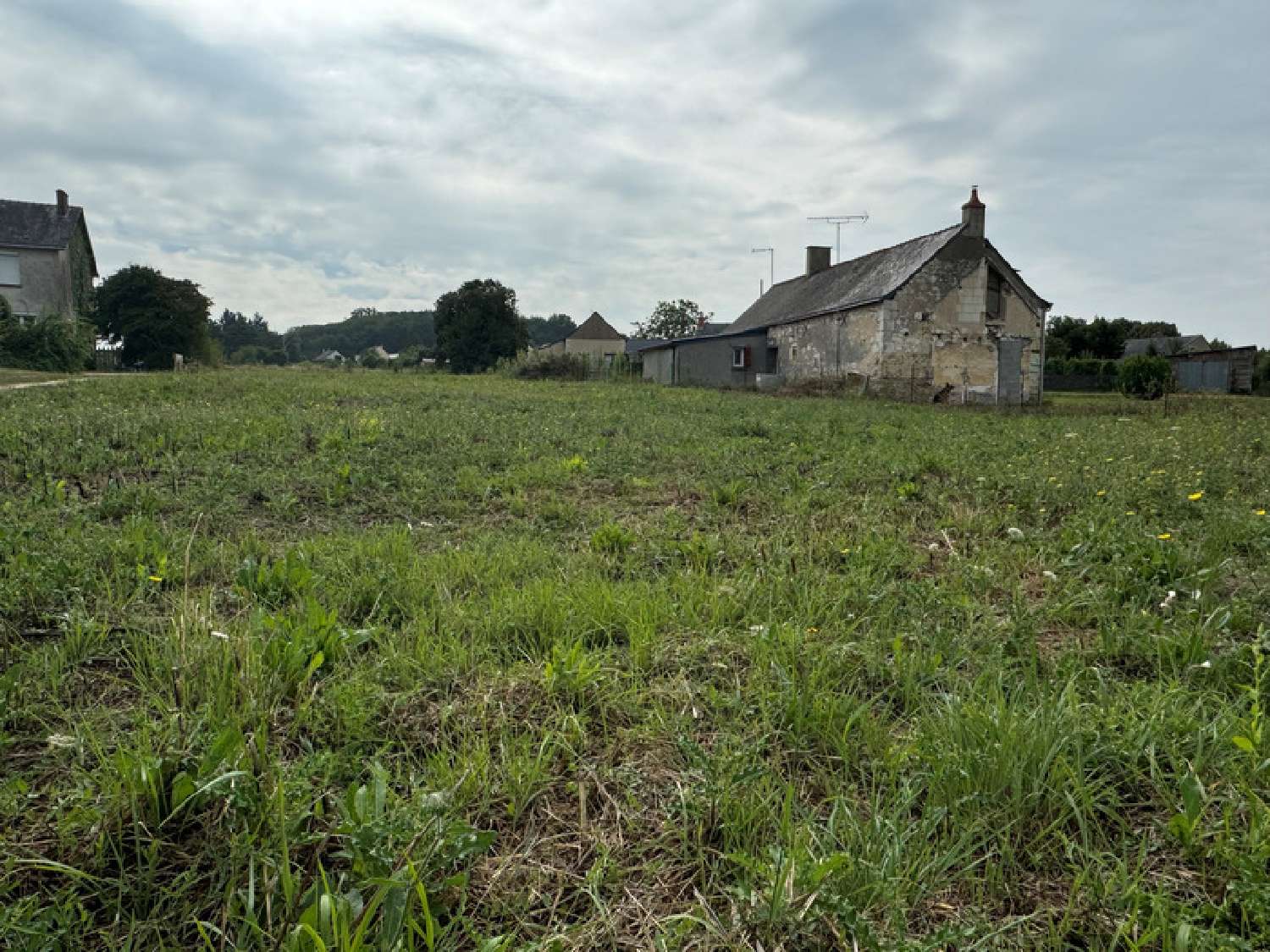 kaufen Grundstück Jarzé Maine-et-Loire 5