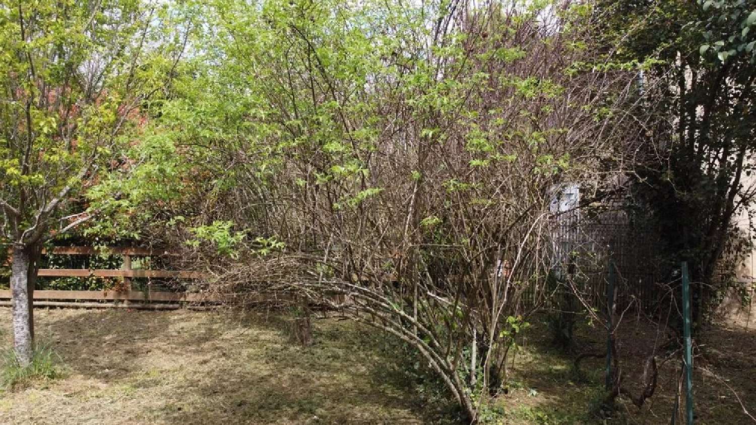  te koop terrein L'Isle-en-Dodon Haute-Garonne 3