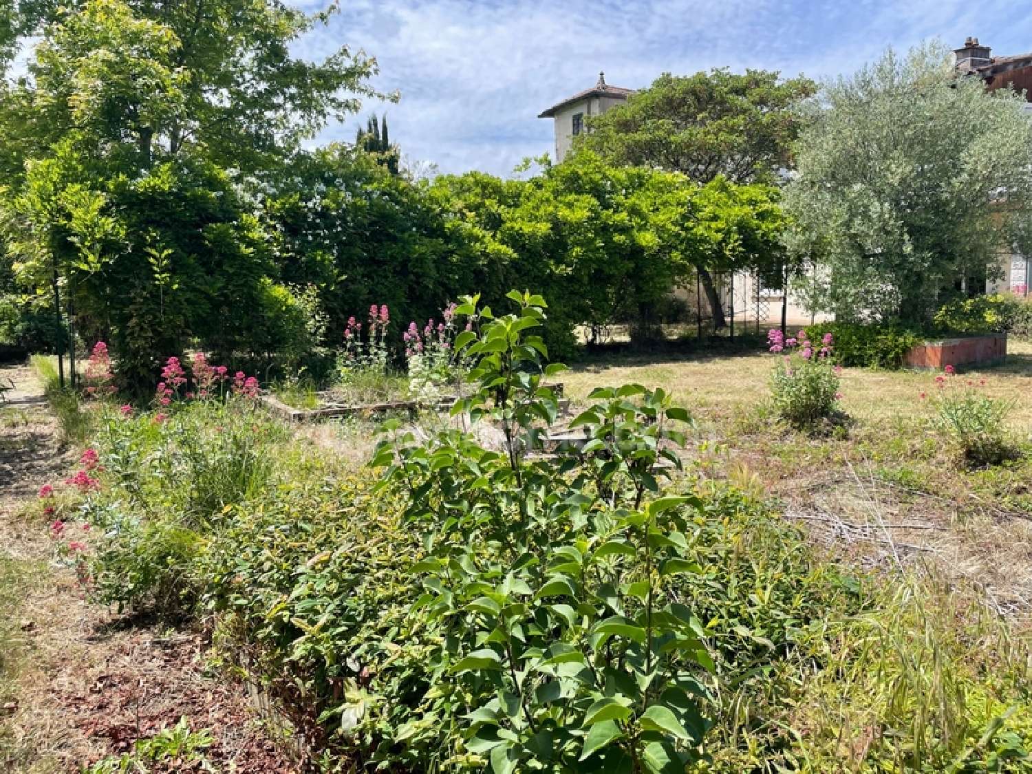  à vendre terrain L'Isle-Jourdain Gers 6