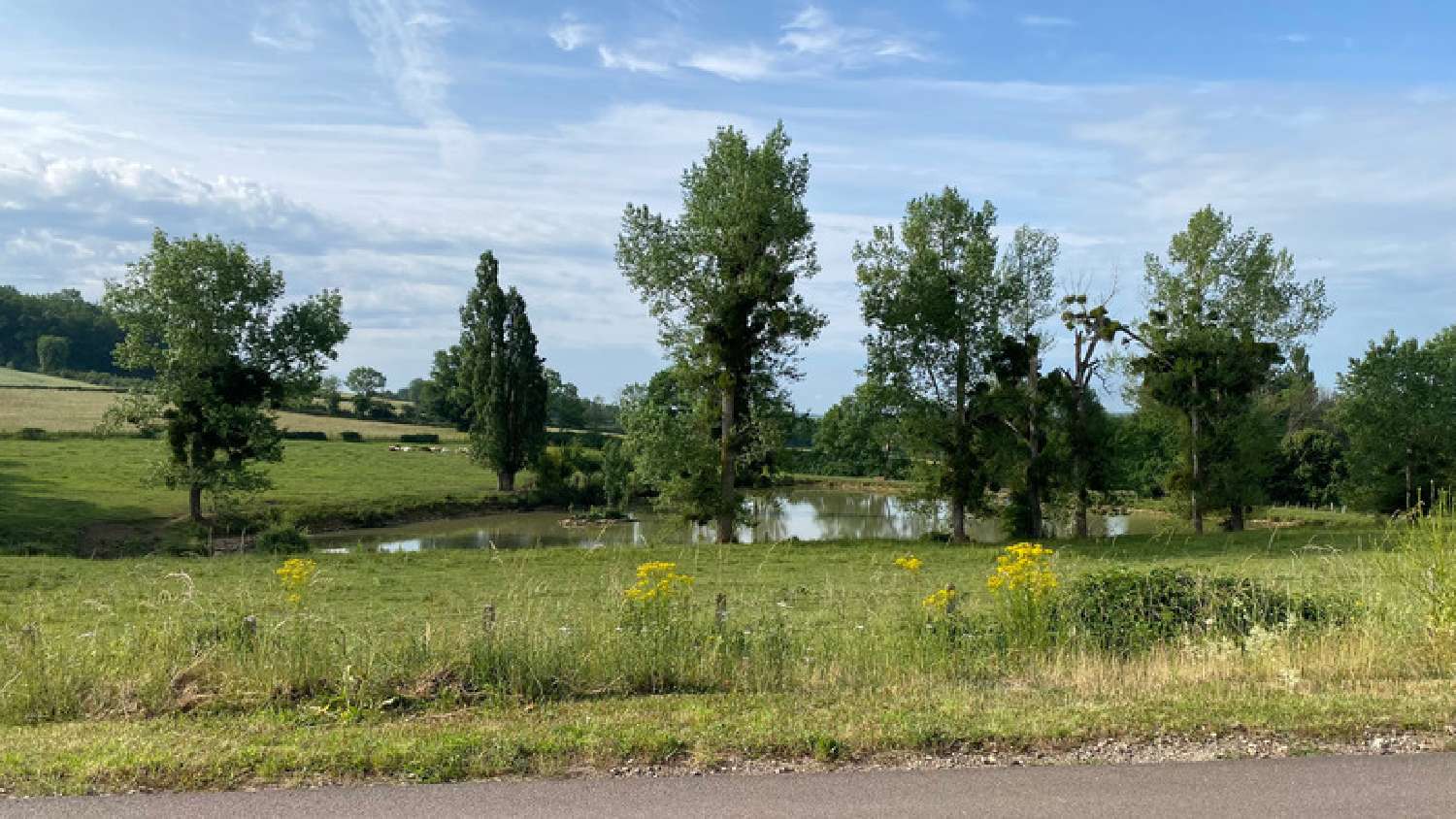 te koop terrein L'Isle-sur-Serein Yonne 8