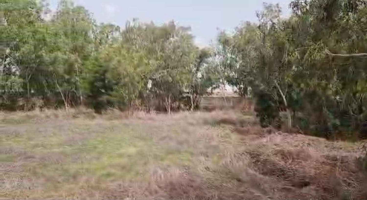  te koop terrein La Chapelle-Taillefert Creuse 1