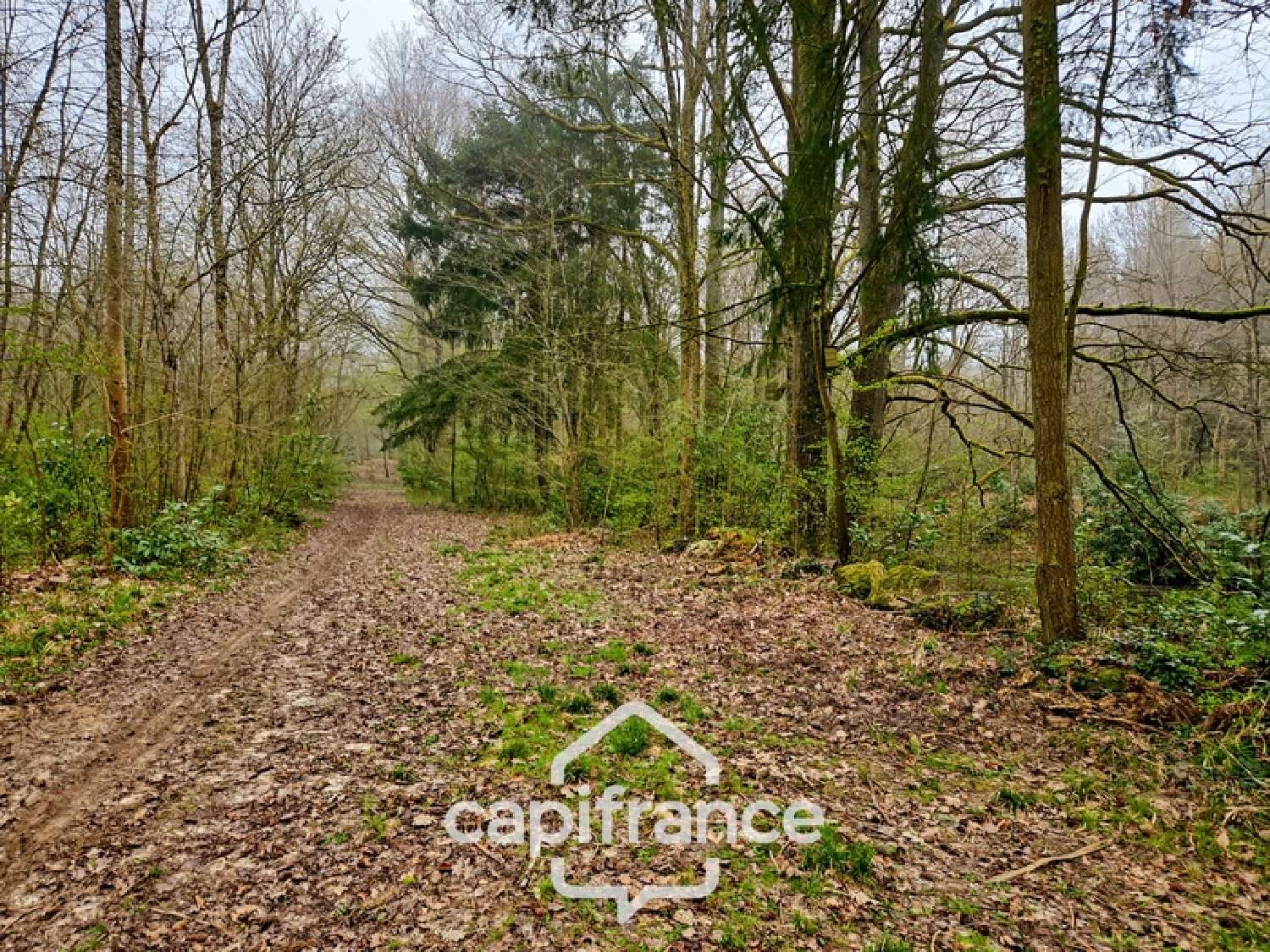 for sale terrain La Ferté-sous-Jouarre Seine-et-Marne 4
