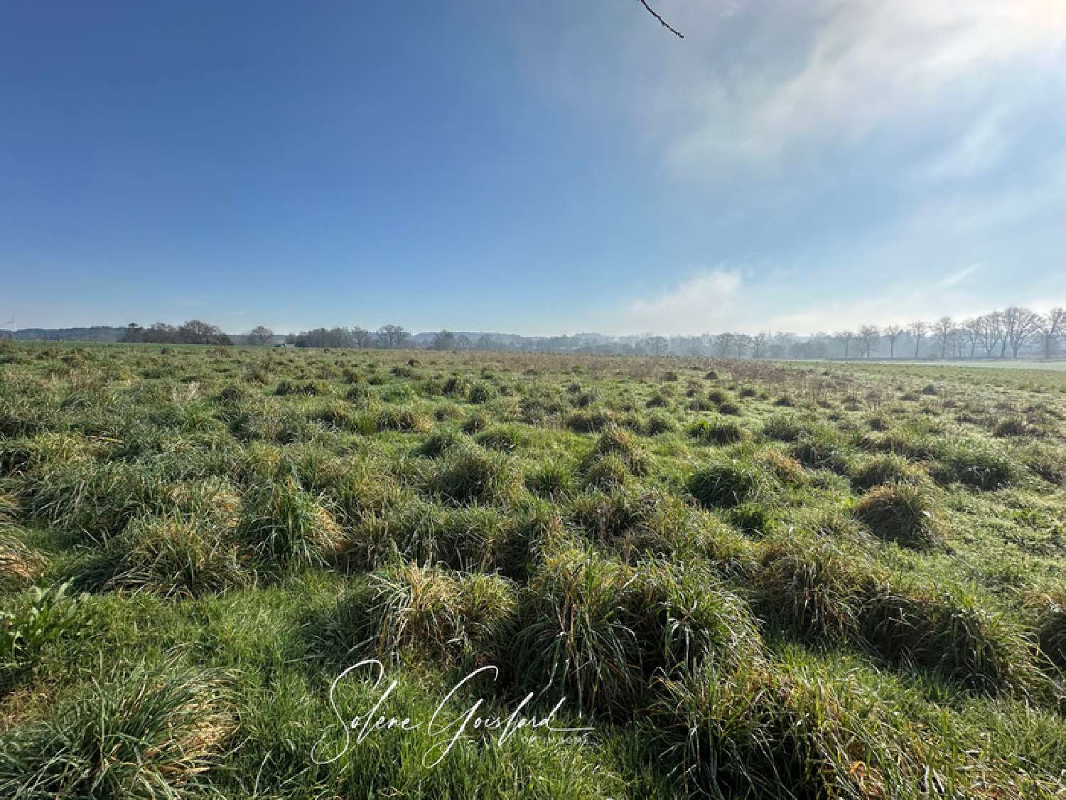  kaufen Grundstück La Gacilly Morbihan 2