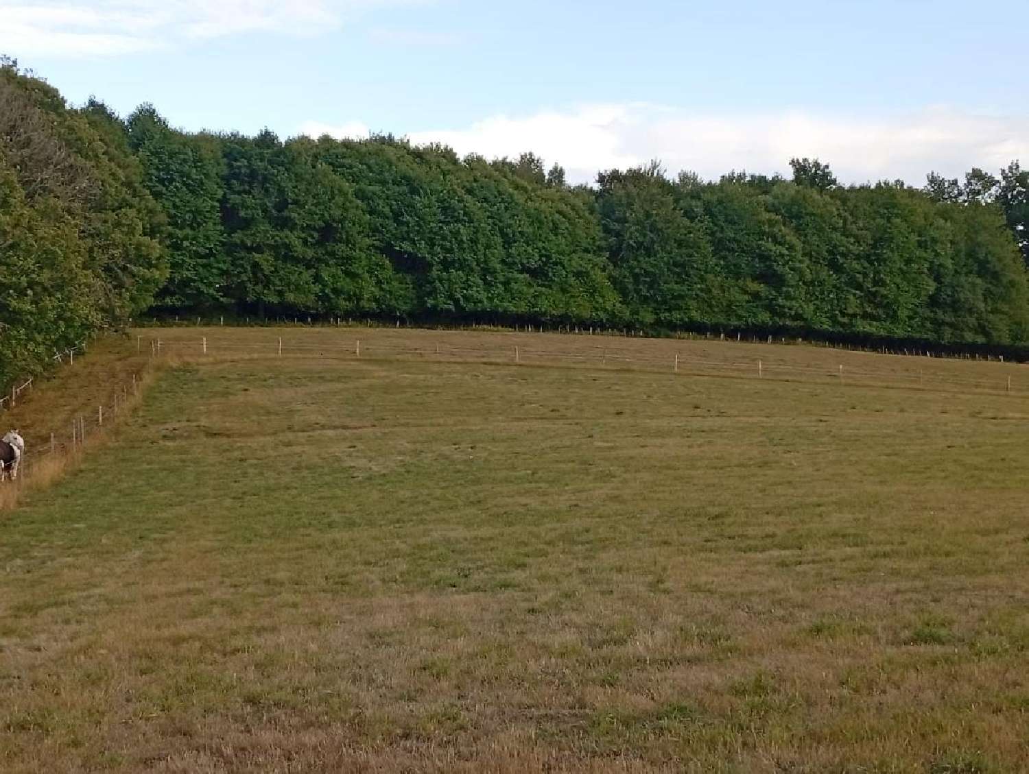 kaufen Grundstück La Geneytouse Haute-Vienne 4