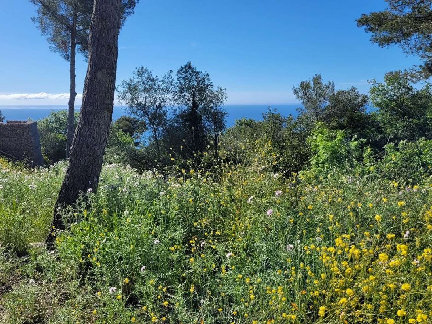à vendre terrain La Turbie Alpes-Maritimes 1