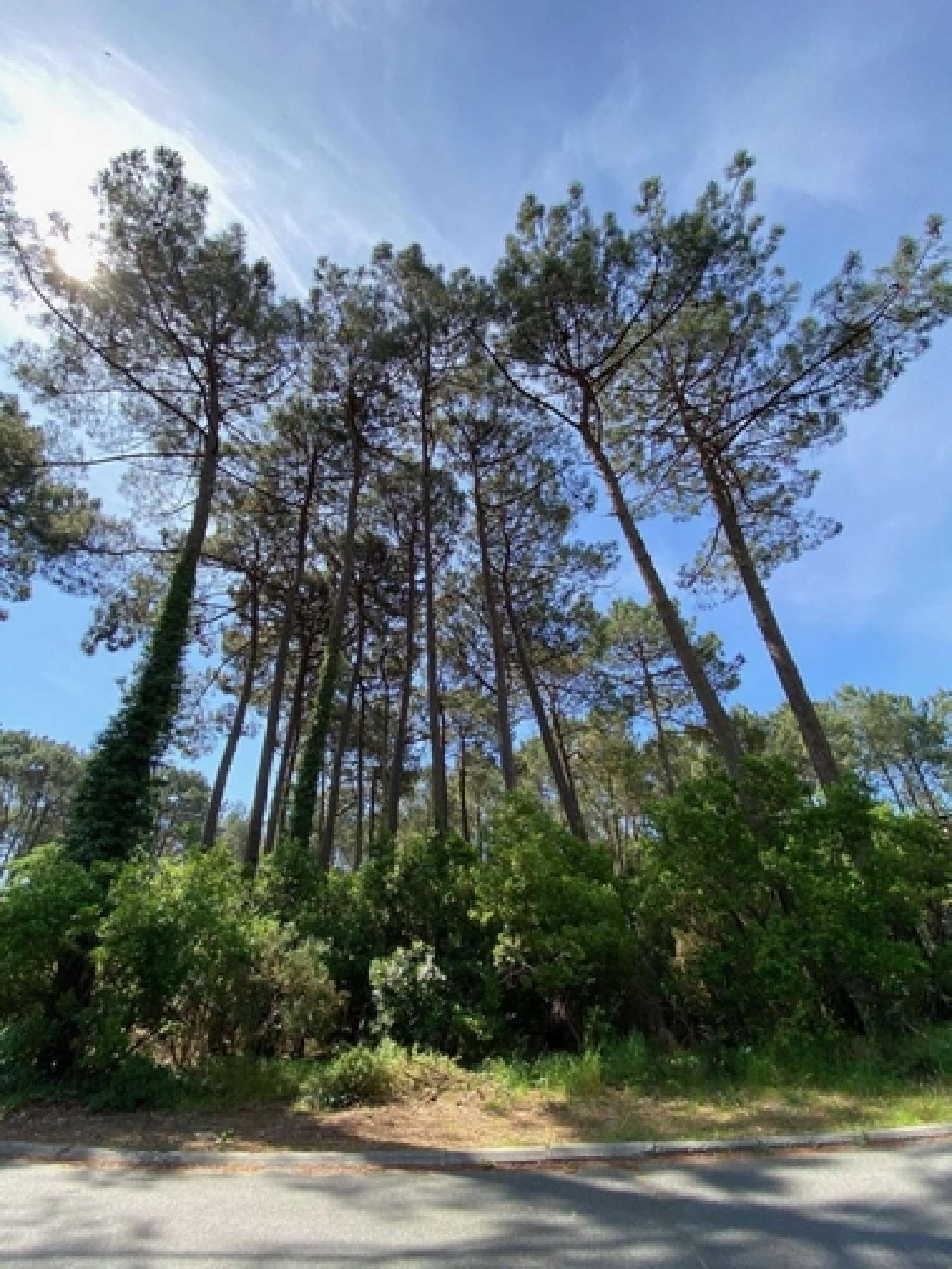  te koop terrein Lacanau Gironde 1