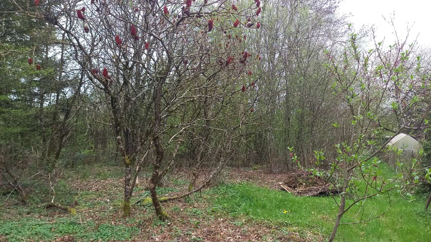  kaufen Grundstück Ladoye-sur-Seille Jura 2