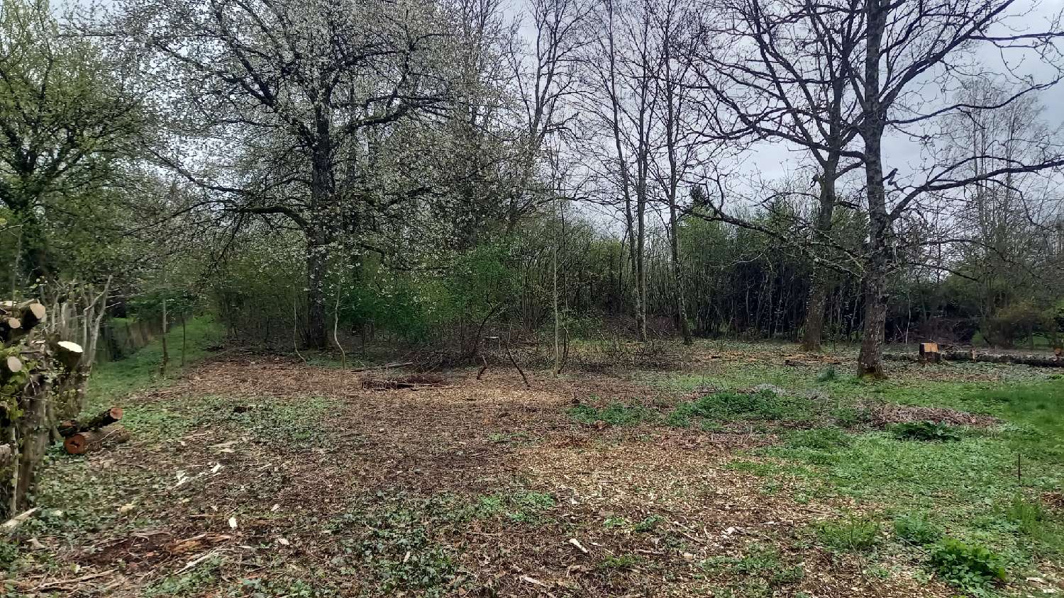  kaufen Grundstück Ladoye-sur-Seille Jura 3