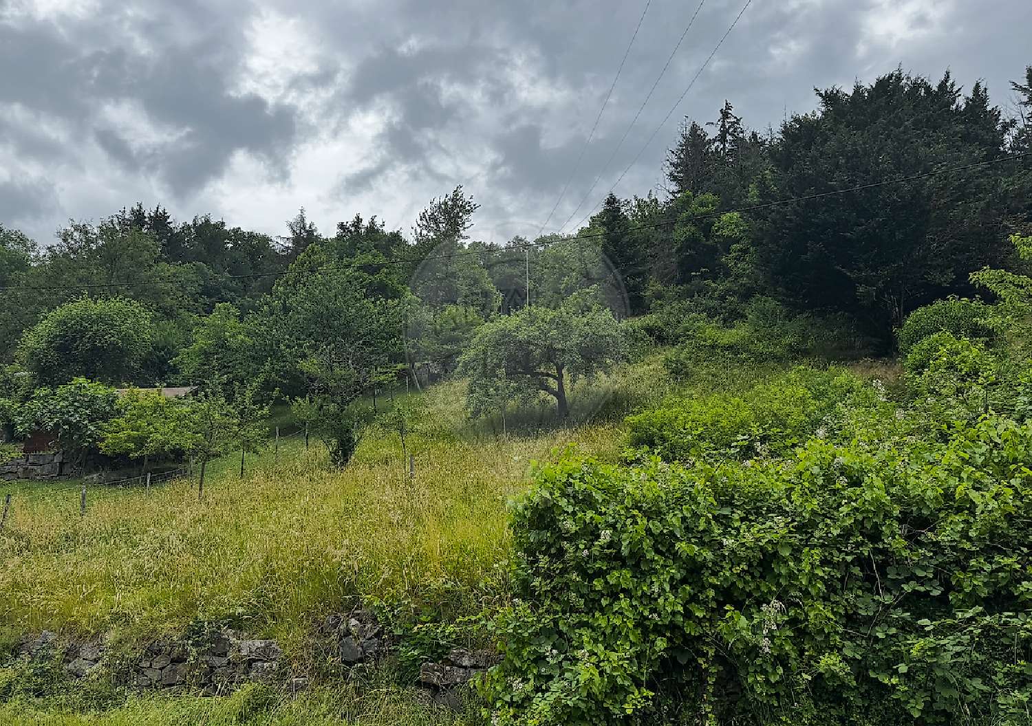  kaufen Grundstück Lautenbach Haut-Rhin 1