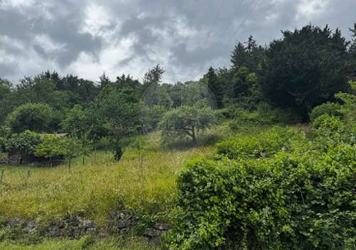 Lautenbach Haut-Rhin Grundstück Bild 7185365