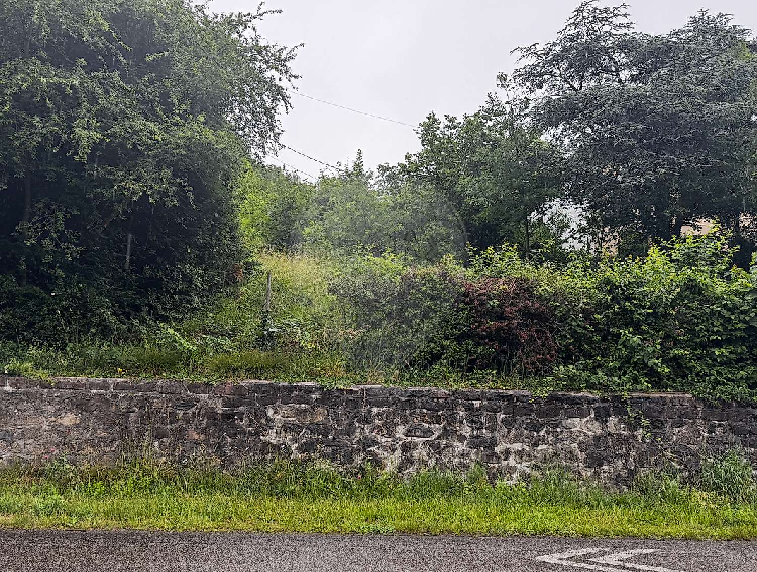  kaufen Grundstück Lautenbach Haut-Rhin 3