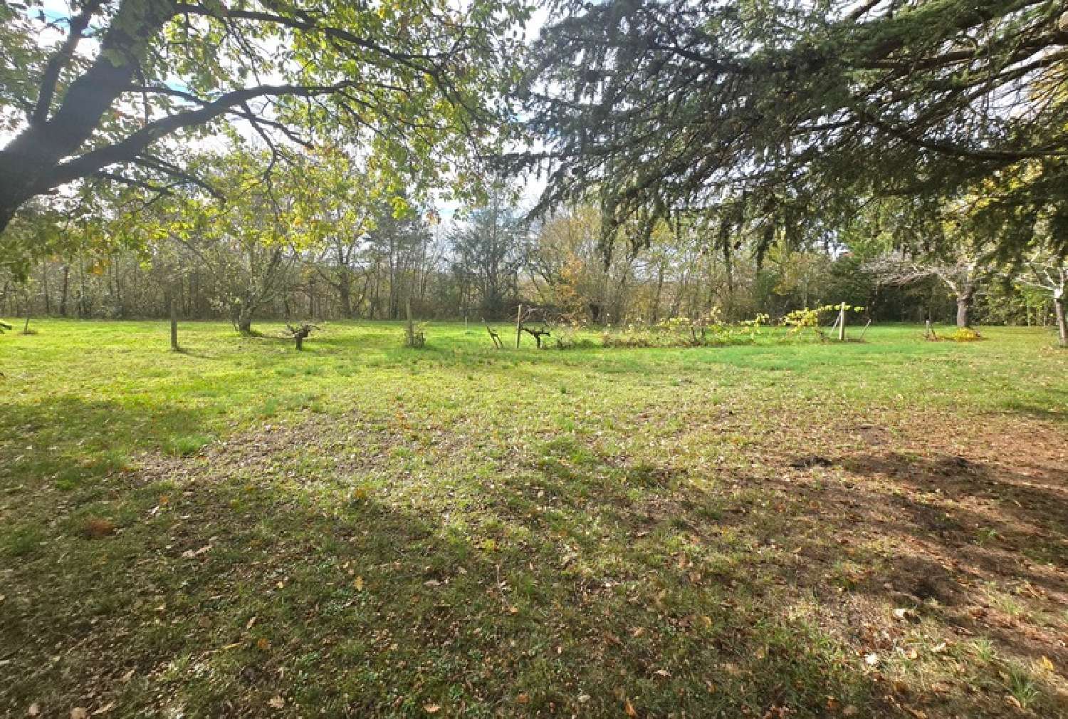  te koop terrein Lavaur Tarn 3