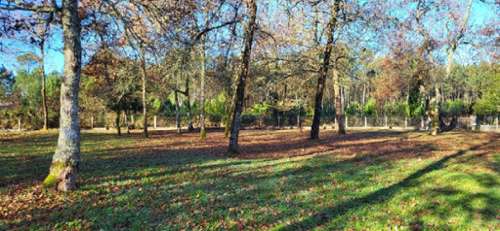 Le Barp Gironde terrein foto 7200604