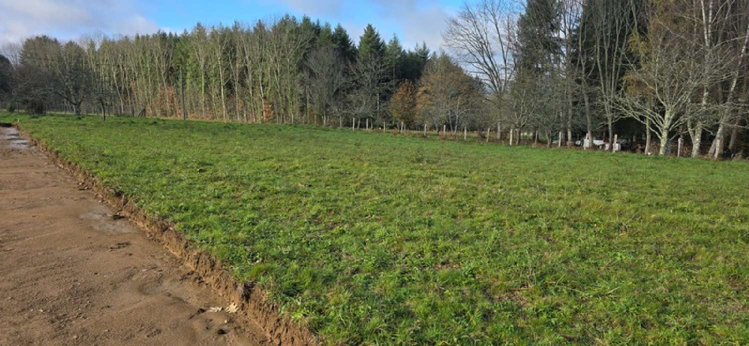  à vendre terrain Le Palais-sur-Vienne Haute-Vienne 3