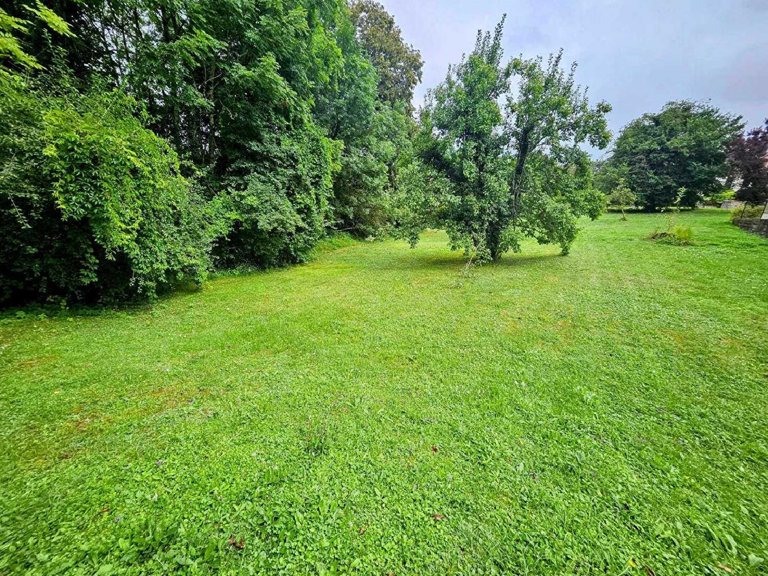 en venta terreno Leffonds Haute-Marne 1