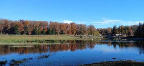 Leval Territoire de Belfort terrain foto 7206132