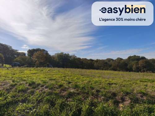 Lombia Pyrénées-Atlantiques terrain foto 7214303