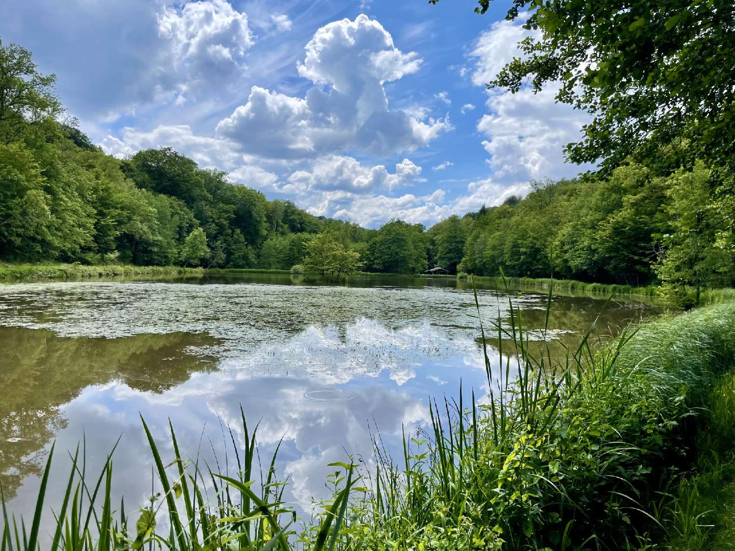  kaufen Grundstück Lomont Haute-Saône 1