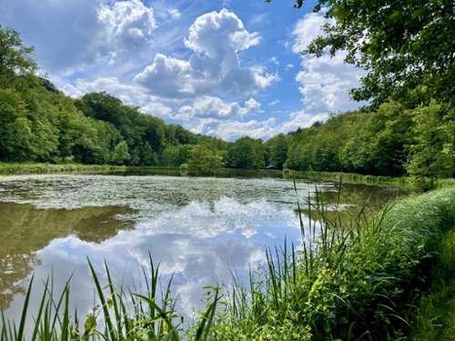 Lomont Haute-Saône Grundstück Bild 7181585