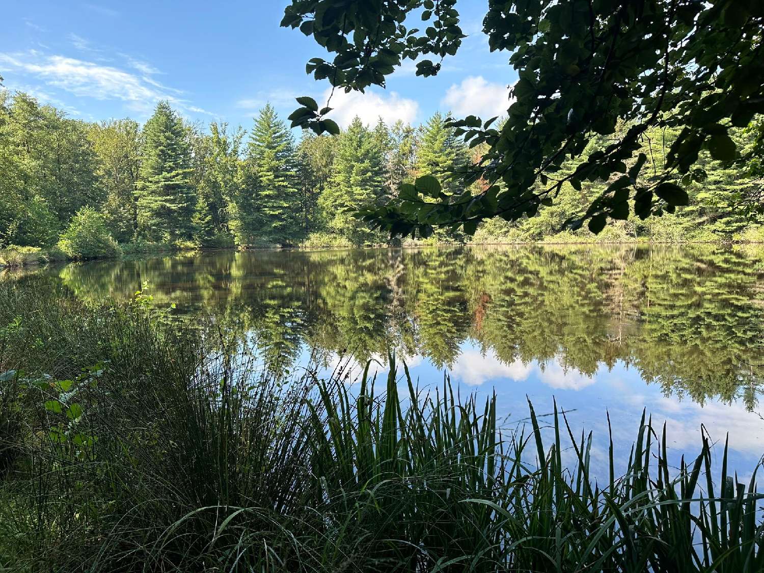  à vendre terrain Luxeuil-les-Bains Haute-Saône 1