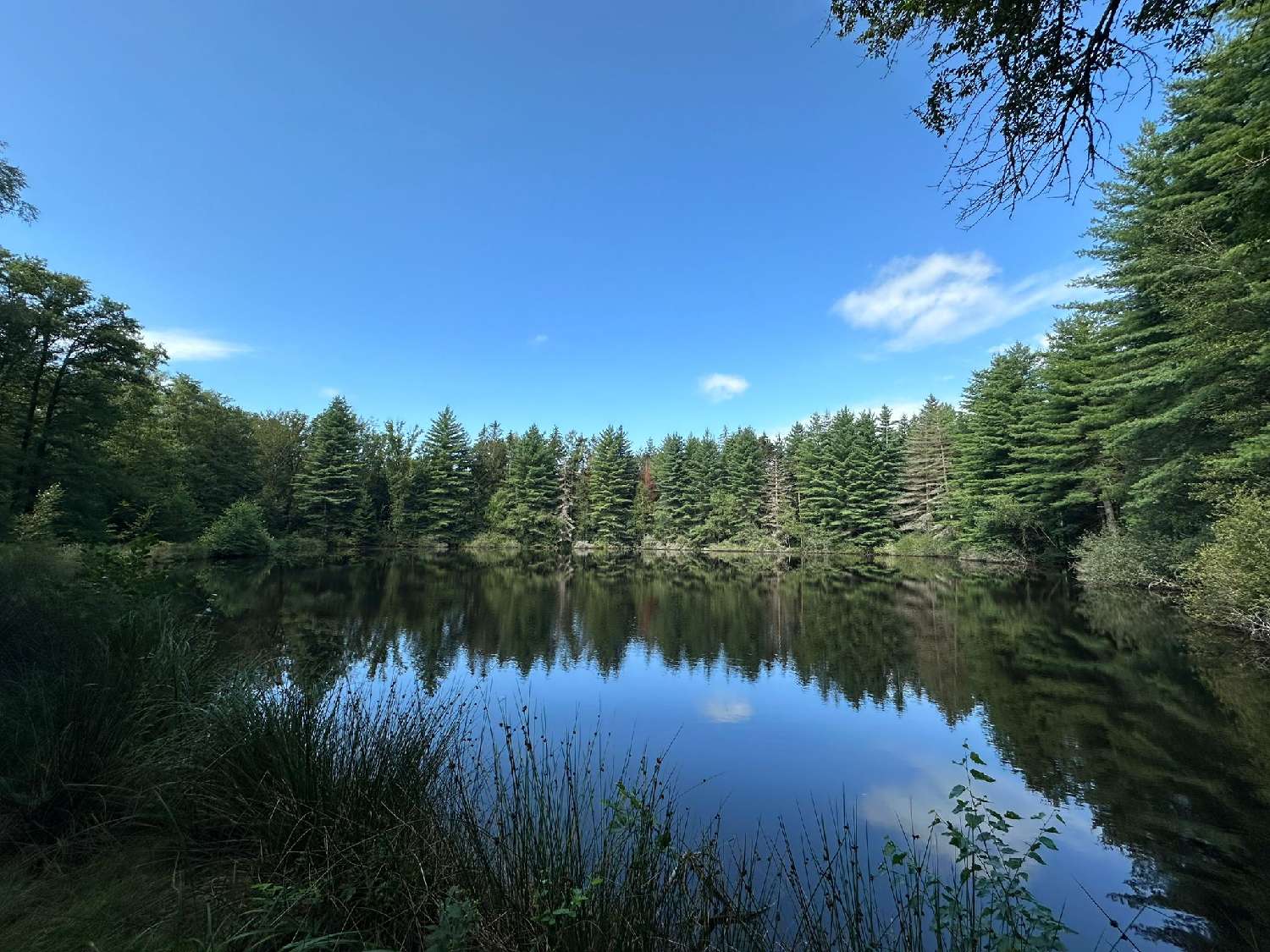  à vendre terrain Luxeuil-les-Bains Haute-Saône 3