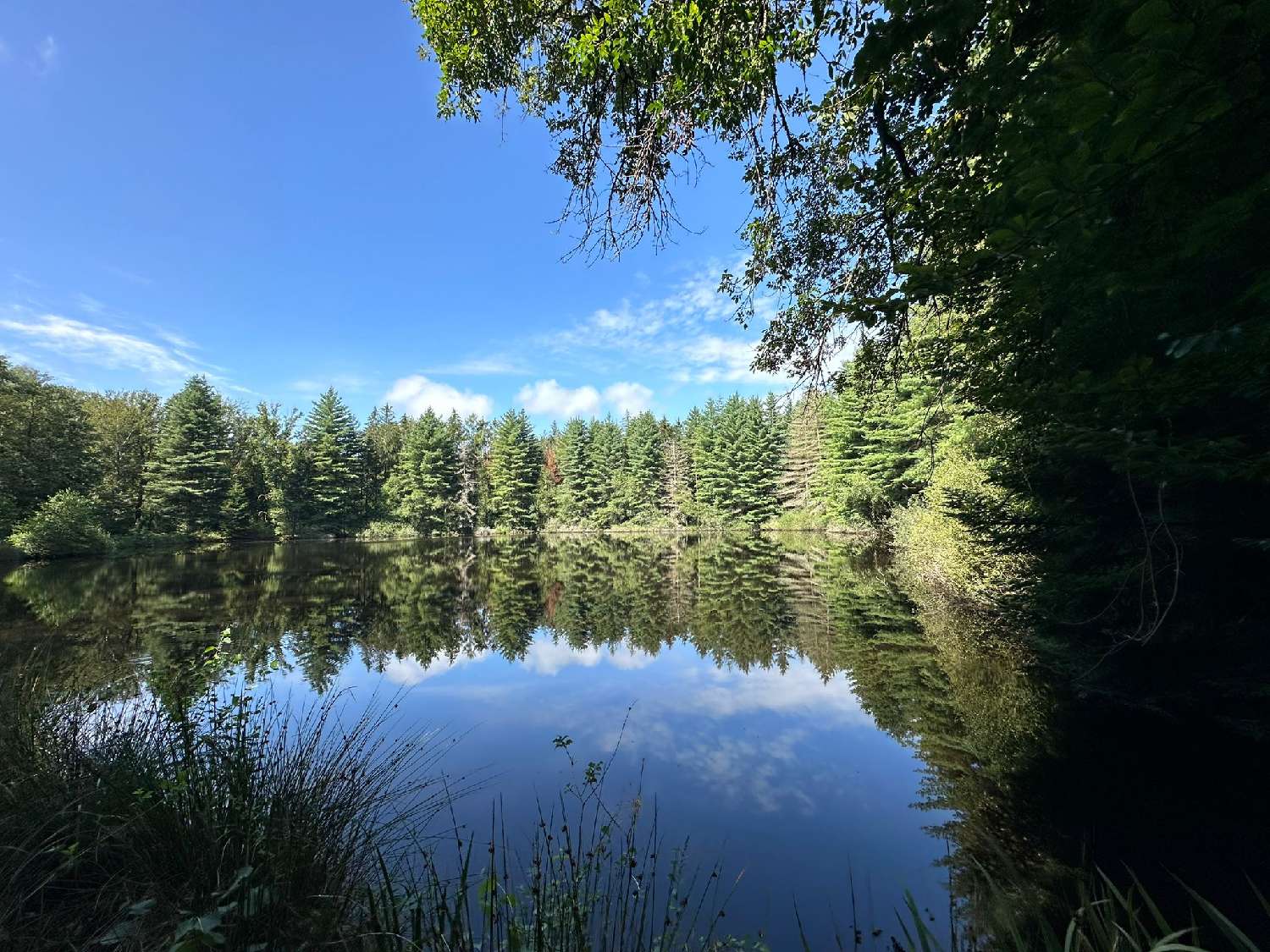  à vendre terrain Luxeuil-les-Bains Haute-Saône 4