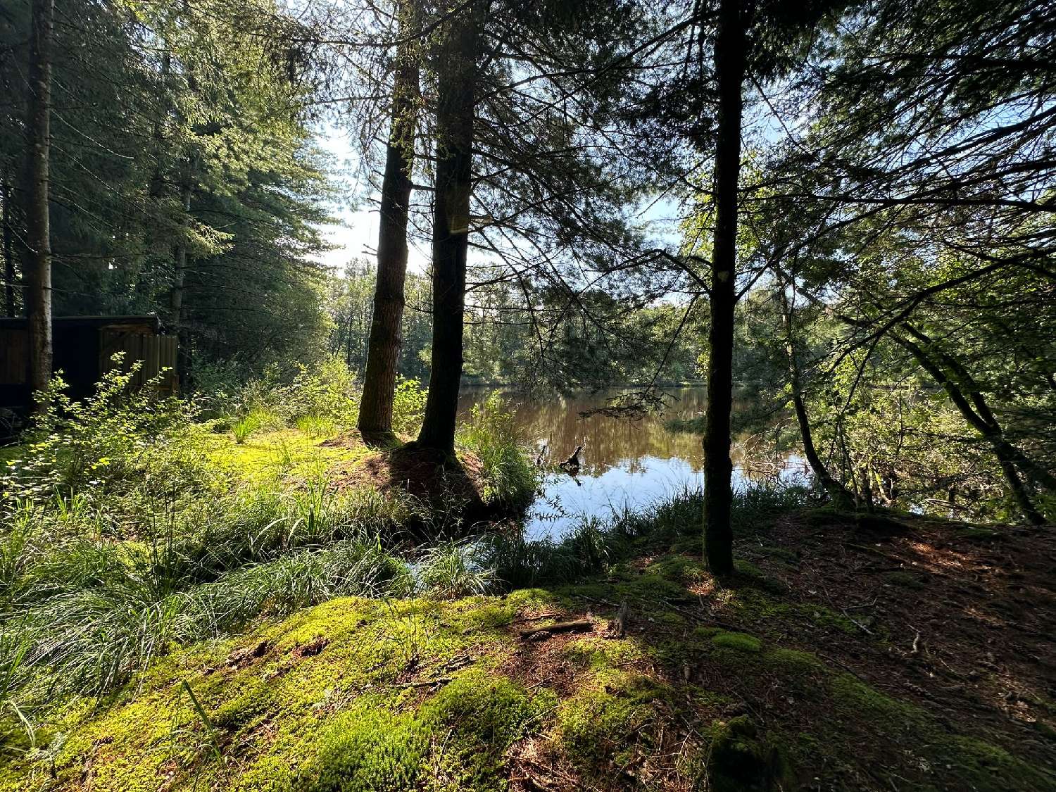 à vendre terrain Luxeuil-les-Bains Haute-Saône 5