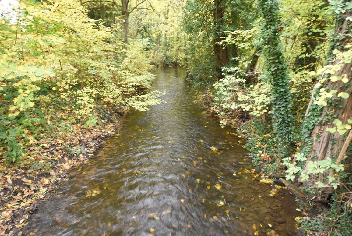  à vendre terrain Marlenheim Bas-Rhin 4