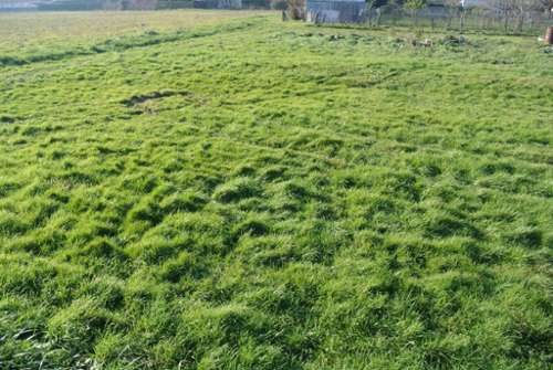 Marmande Lot-et-Garonne terrein foto 7192137