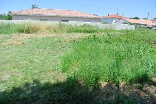 Marmande Lot-et-Garonne terrain foto 7182861